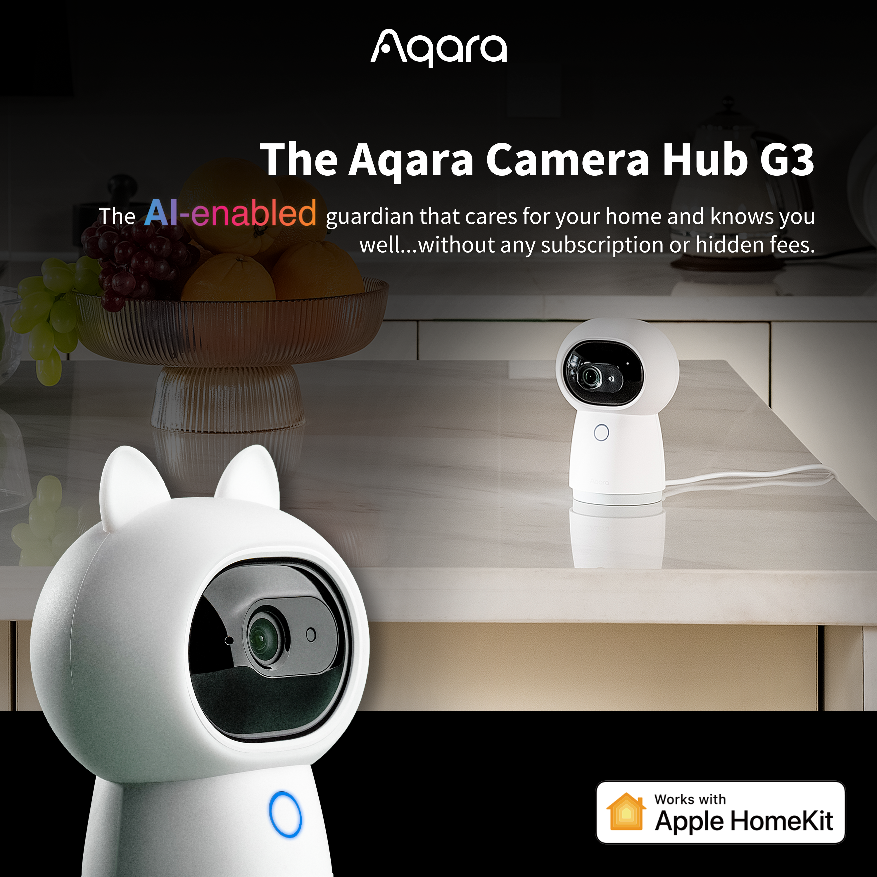 Camera Hub G3